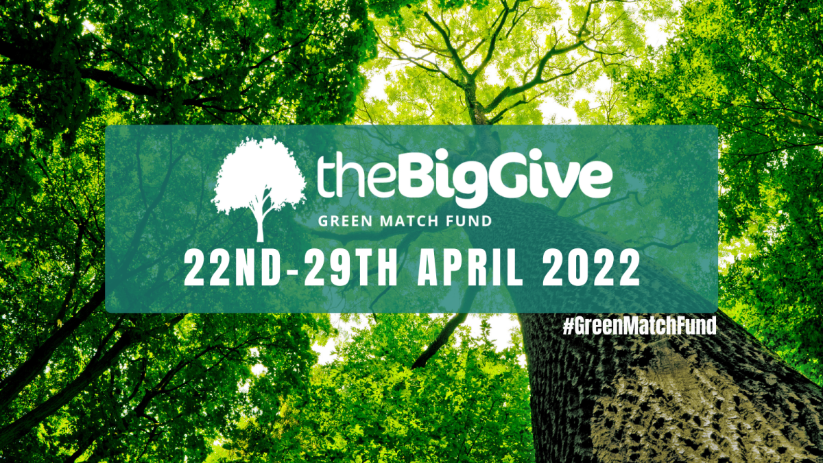 The Big Give #GreenMatchFund Campaign
